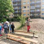 Sportino-Abzeichen Bild 2