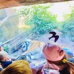 Ausflug in den Zoo Bild 1