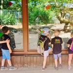 Ausflug in den Zoo Bild 2
