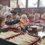 Die Kinder dürfen den Spargel selbst waschen