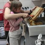 Bild 2 Wachs wird von den Bienenwaben entfernt