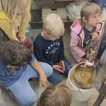 Bild 3 Der frische Honig fließt aus der Honigschleuder