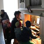 Orgel