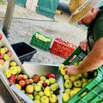 Reife Äpfel in Kisten