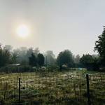 Blick auf das Gelände des Wildparks über einen Zaun