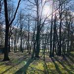 Blick in ein Tiergehege mit herbstlichen Bäumen und Sonne