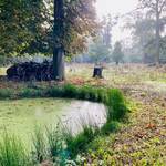 Blick auf das Gelände des Wildparks mit einer Lehmkuhle bzw. Wasserloch