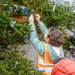 Kind beim schmücken