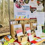 Tisch mit Papierbeuteln und frischen Kartoffeln dazu Informationsmaterial