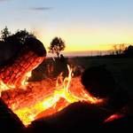 Holz rot glühend bei untergehender Sonne &copy;EGem Stadt Tangerhütte