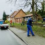 Der Gehweg wird mit einem Besen gefegt und der Schmutz wird auf ein Fahrzeug geladen &copy;EGem Stadt Tangerhütte