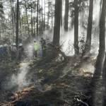 Feuerwehrleute bekämpfen einen Waldbrand Bild 1 &copy;EGem Stadt Tangerhütte