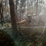 Feuerwehrleute bekämpfen einen Waldbrand Bild 2 &copy;EGem Stadt Tangerhütte