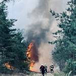 Drei Feuerwehrleute löschen einen Waldbrand &copy;EGem Stadt Tangerhütte
