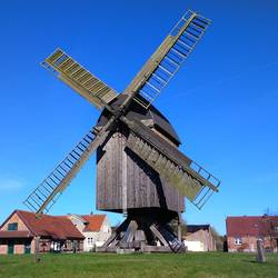 Bockwindmuehle_Grieben.JPG