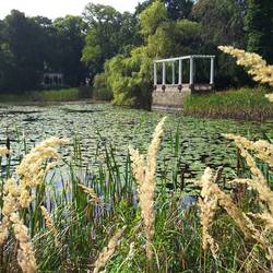 Parkteich_mit_Pergola.JPG