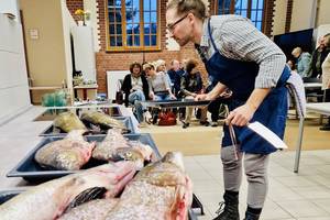 Fisch liegt für die Zubereitung auf Backblechen bereit &copy;EGem Stadt Tangerhütte
