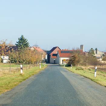 Uetz