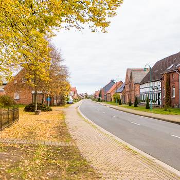 Dorfstraße in Bellingen, links stehen große Bäume