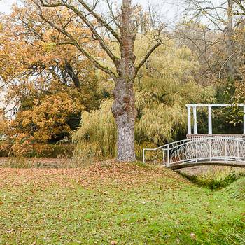 Stadtpark Tangerhütte mit Brücke