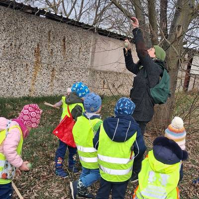 Die Kinder sammeln mit Ihrer Erzieherin Müll und hängen Meisenknödel au