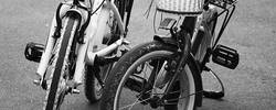 bicycle-5178565_640.jpg